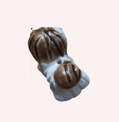 Miniatura Shih Tzu - Imagen 5