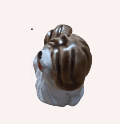 Miniatura Shih Tzu - Imagen 4