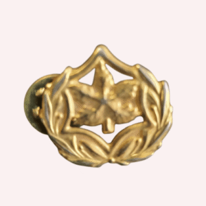Emblema de las IDF