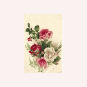 Tarjeta Vintage Francesa