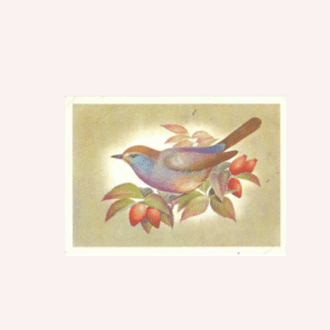 Antigua Postal de la URSS