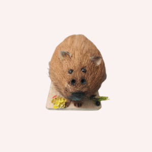 Capi Bara en Coco