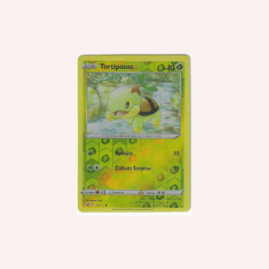 Carta Pokémon Tortipouss.