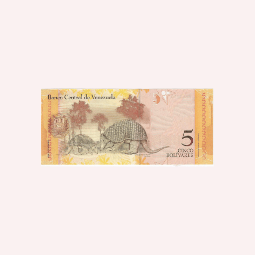 5 Bolivares 2011 UNC. - Imagen 2