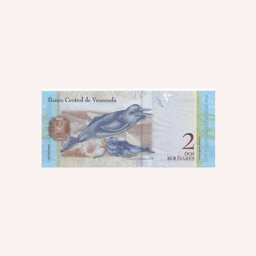 2 Bolivares 2012 UNC. - Imagen 2