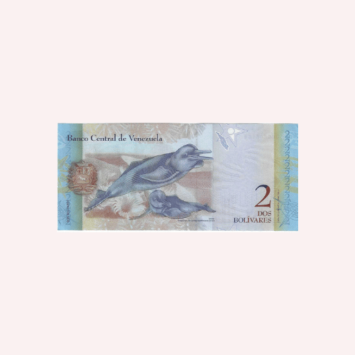 2 Bolivares 2013 UNC. - Imagen 2