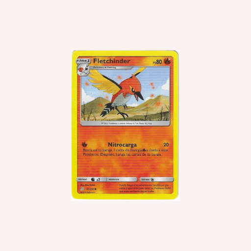 Fletchinder Etapa 1.