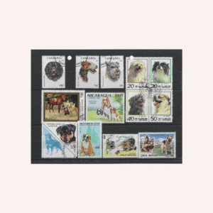 13 Sellos Diferentes