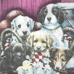 Servilletas para Decoupage