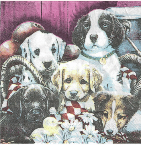 Servilletas para Decoupage