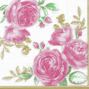 Servilletas para Decoupage