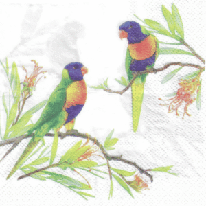 Servilletas para Decoupage