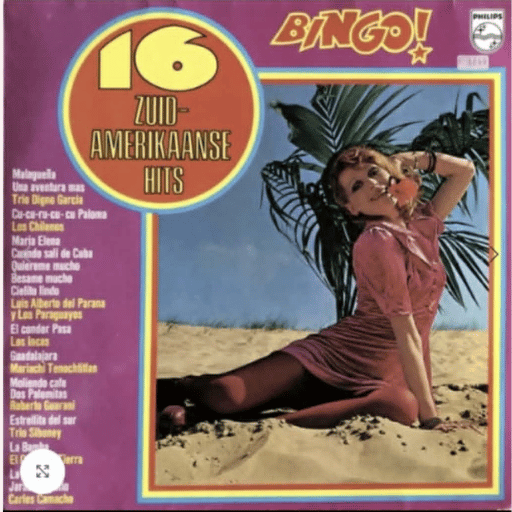 16 South American Hits