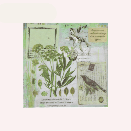 Papel Arroz para Decoupage