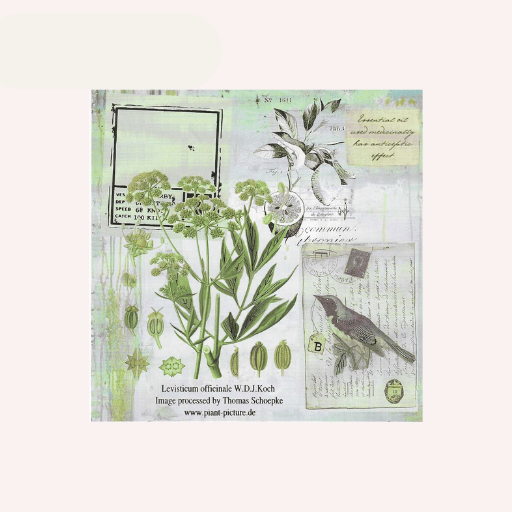 Papel Arroz para Decoupage