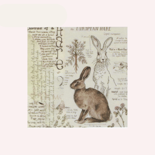 Papel Arroz para Decoupage