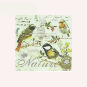 Papel Arroz para Decoupage