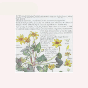 Papel Arroz para Decoupage