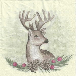 Servilletas para Decoupage