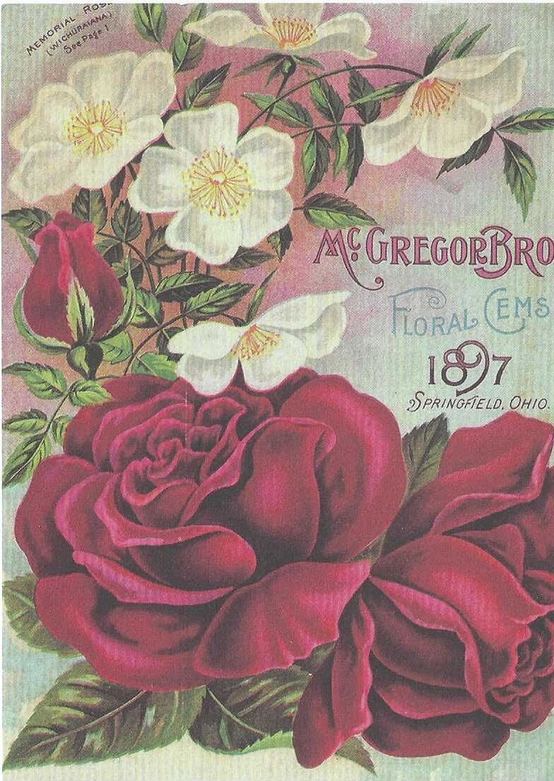 Papel Arroz para Decoupage