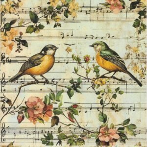 🎼🐦Aves & Música Vintage.