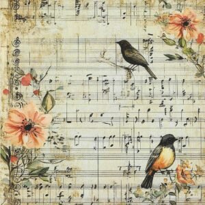 🎼🐦Aves & Música Vintage.