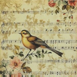 🎼🐦Aves & Música Vintage.