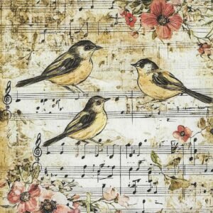 🎼🐦 Aves & Música Vintage