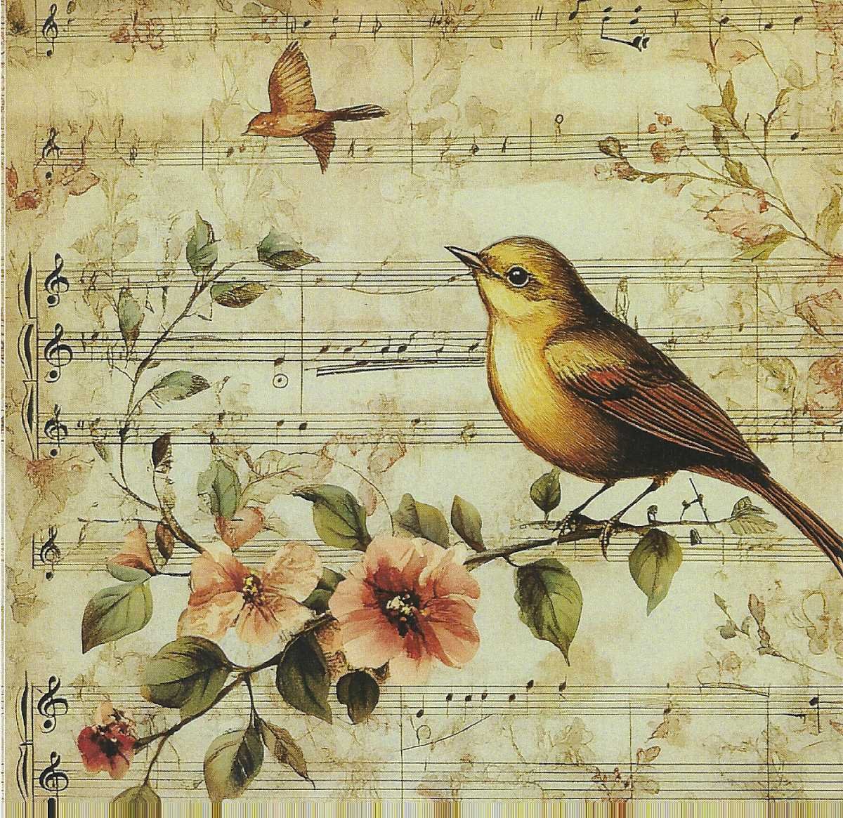 🎼🐦 Aves & Música Vintage