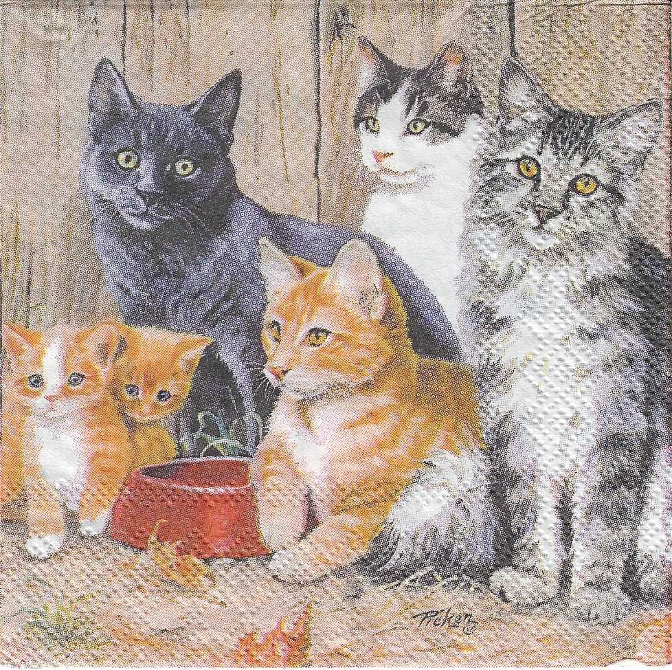 Servilletas 12.5 x 12.5 cm