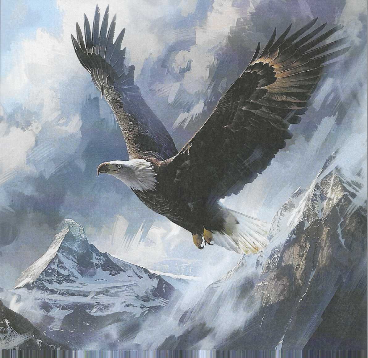 🦅 El Rey de los Cielos