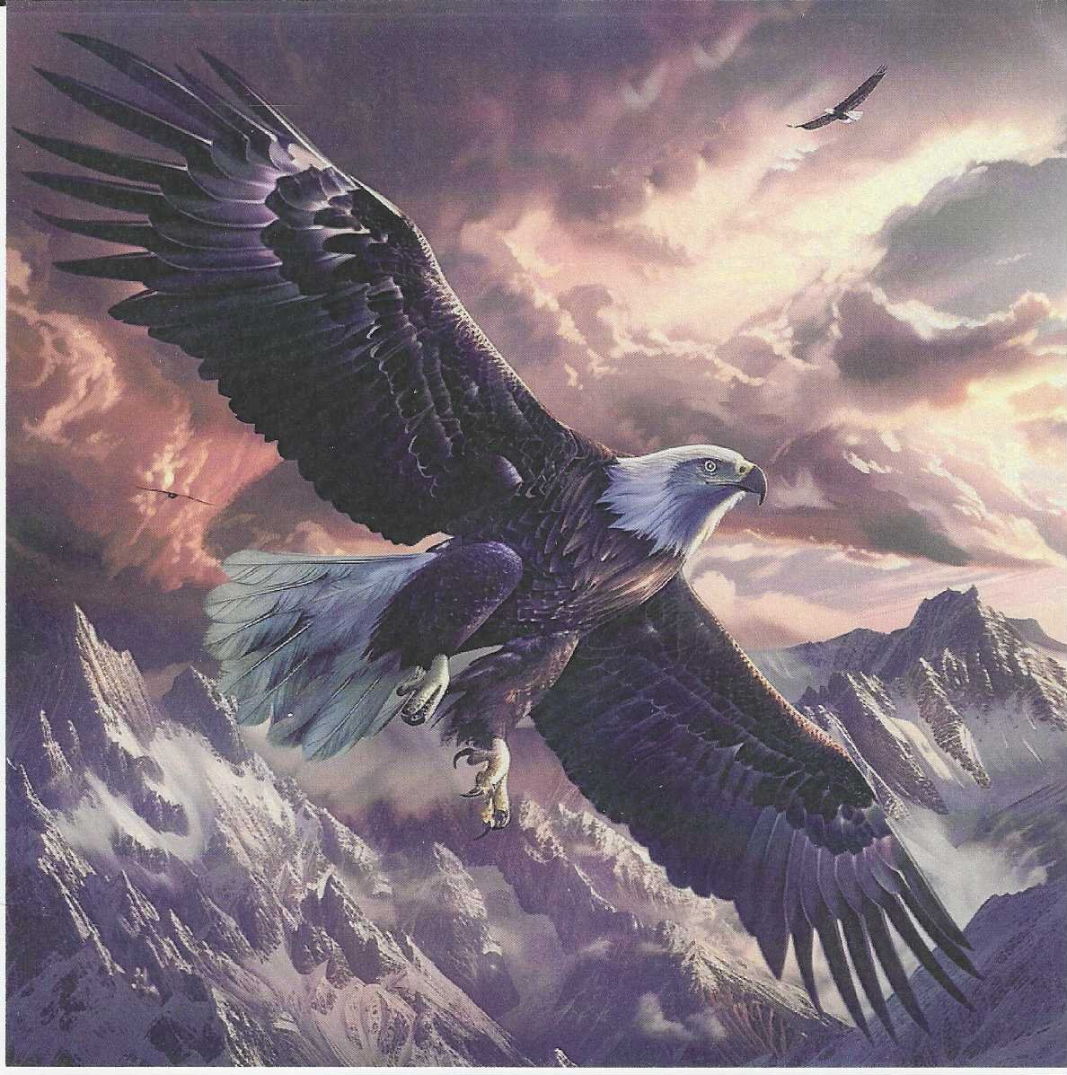 🦅 El Rey de los Cielos