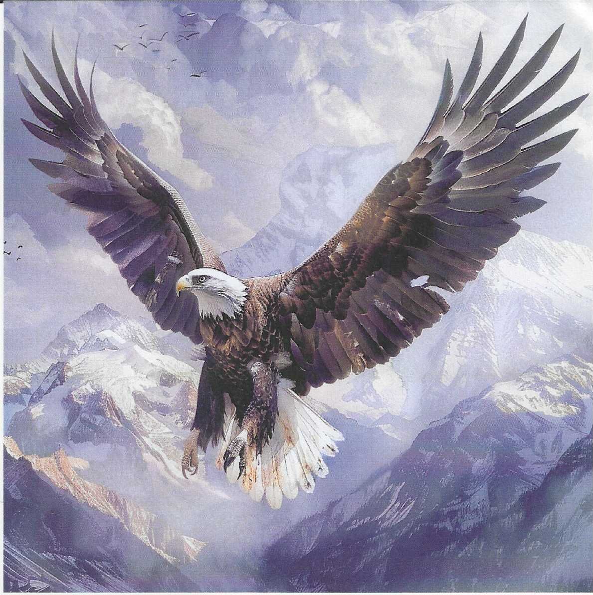 🦅 El Rey de los Cielos