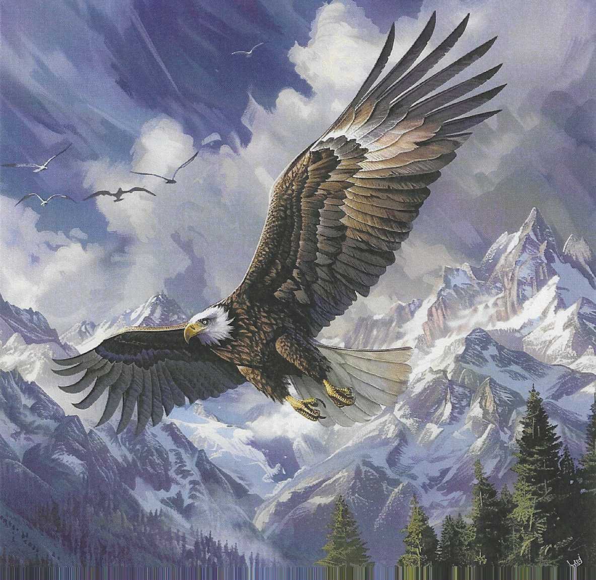 🦅 El Rey de los Cielos