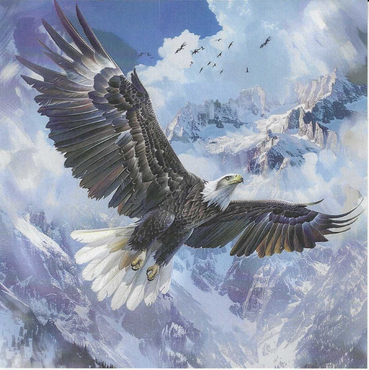 🦅 El Rey de los Cielos