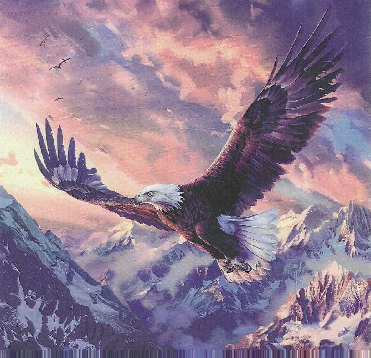 🦅 El Rey de los Cielos