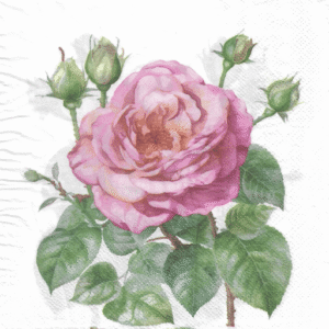 Servilletas para Decoupage